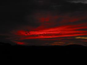 IMG_1345.JPG